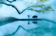 回歸鄉(xiāng)村,方知幸福 【輕鋼別墅】