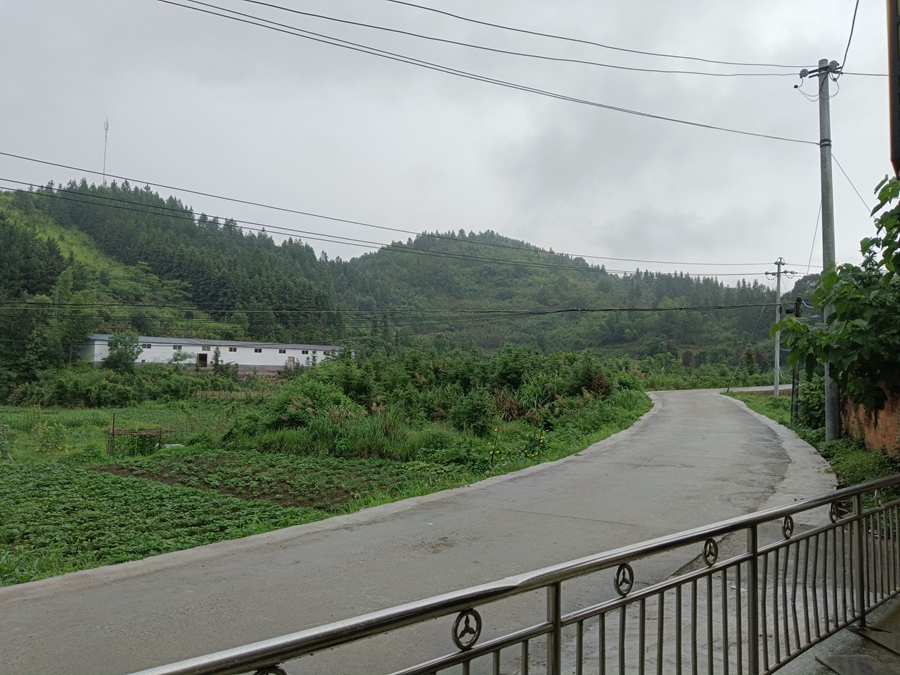 回歸自然,遠離塵囂:暢享寧靜農村生活